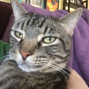 Meet your Posher, Tammie