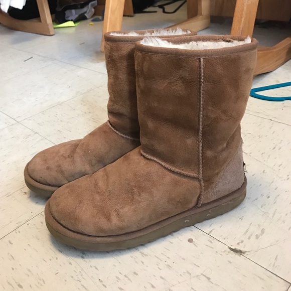 chesnut short uggs chesnut short uggs