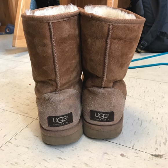 chesnut short uggs chesnut short uggs