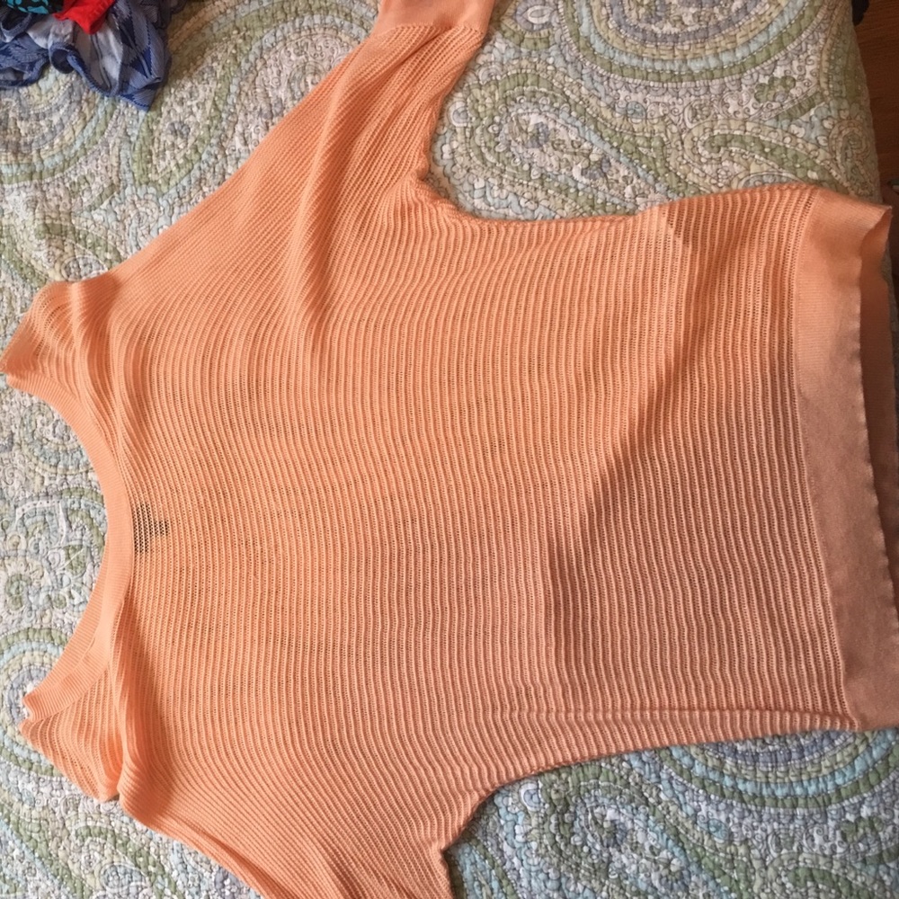 Express sheer peach sweater