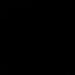 Meet your Posher, Vicky