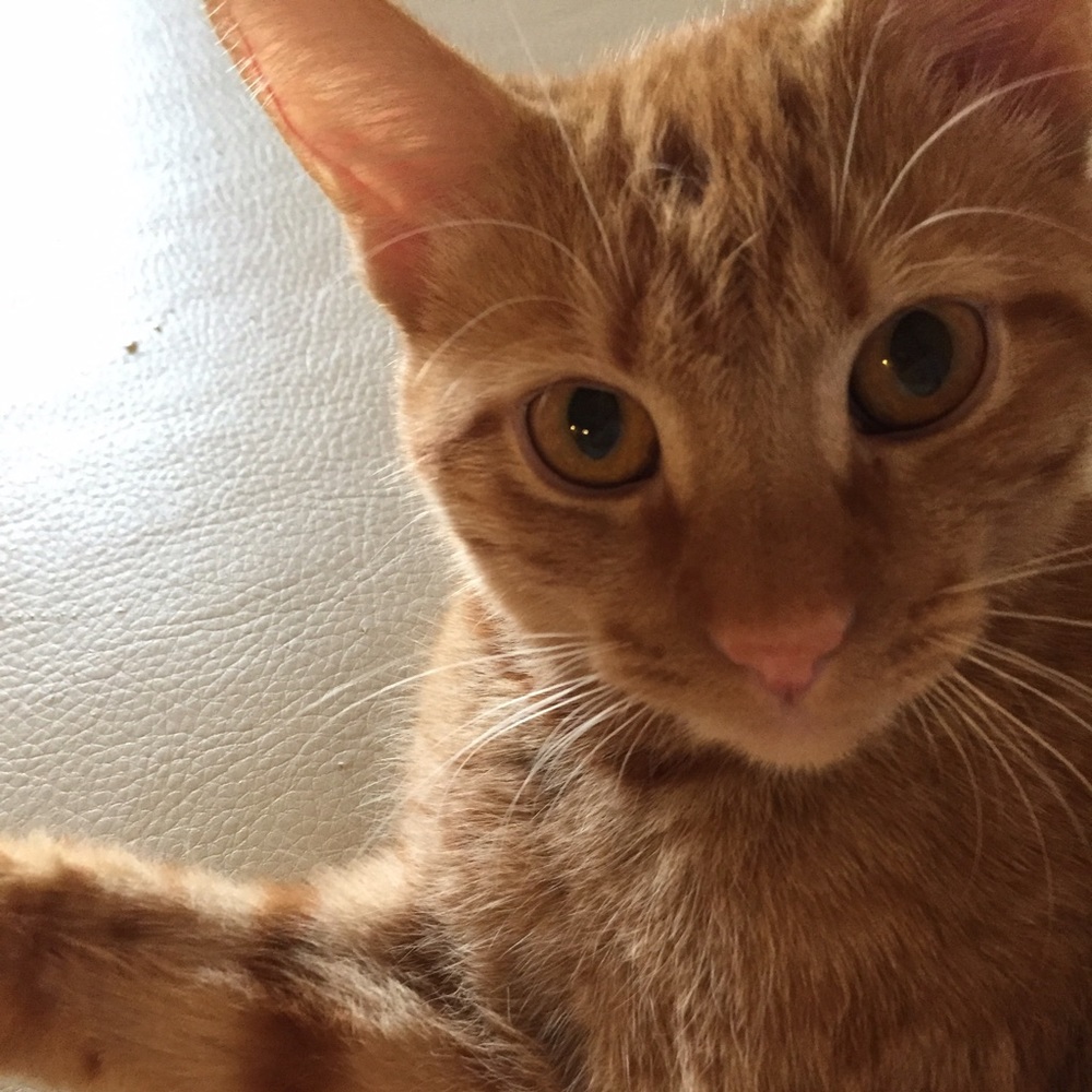 Make me a reasonable offer! I will sell😊