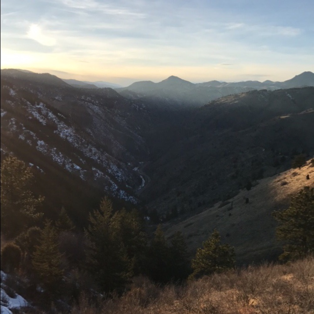 Meet your Posher, Jenny