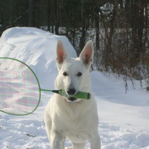 Meet your Posher, Cheryl