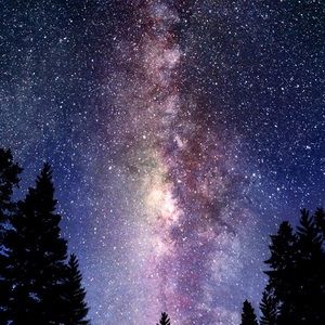 Meet your Posher, Mayra