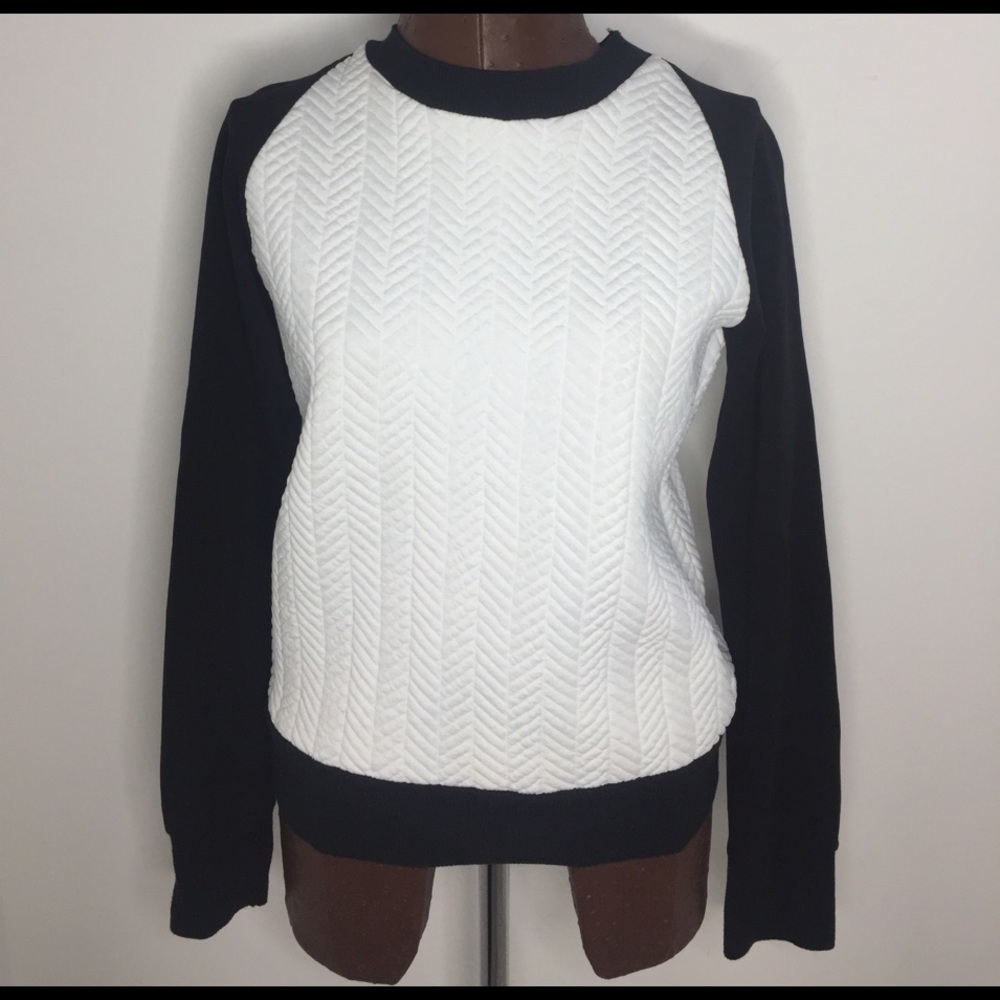 Zara Trafaluc Crew neck sweater