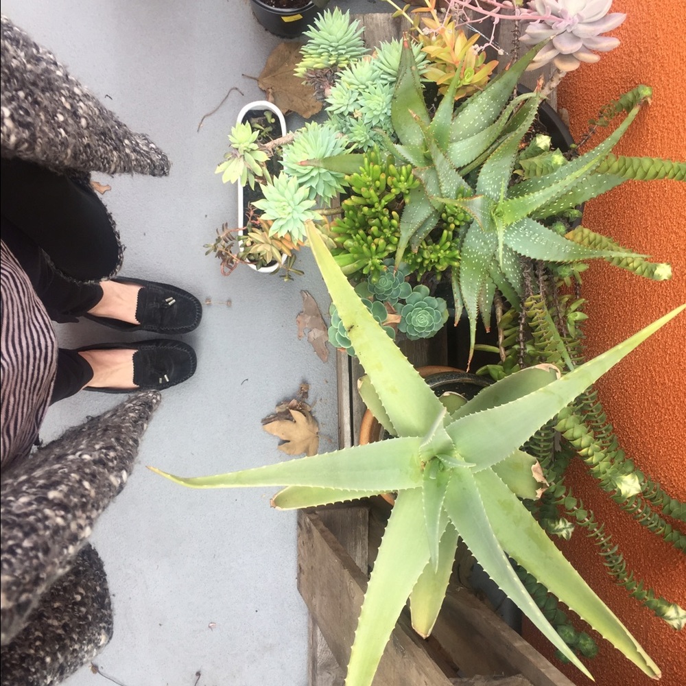 Meet your Posher, Natalie