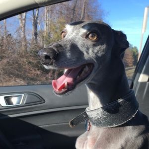 Meet your Posher, Mikaya