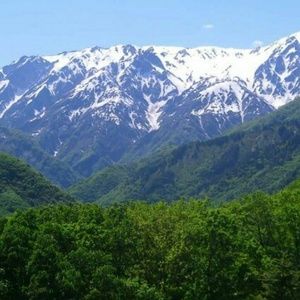 Meet your Posher, Toni