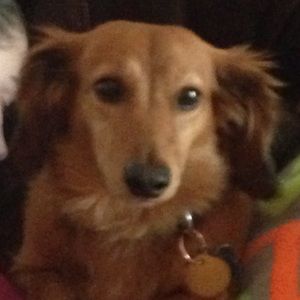 Meet your Posher, Chloe