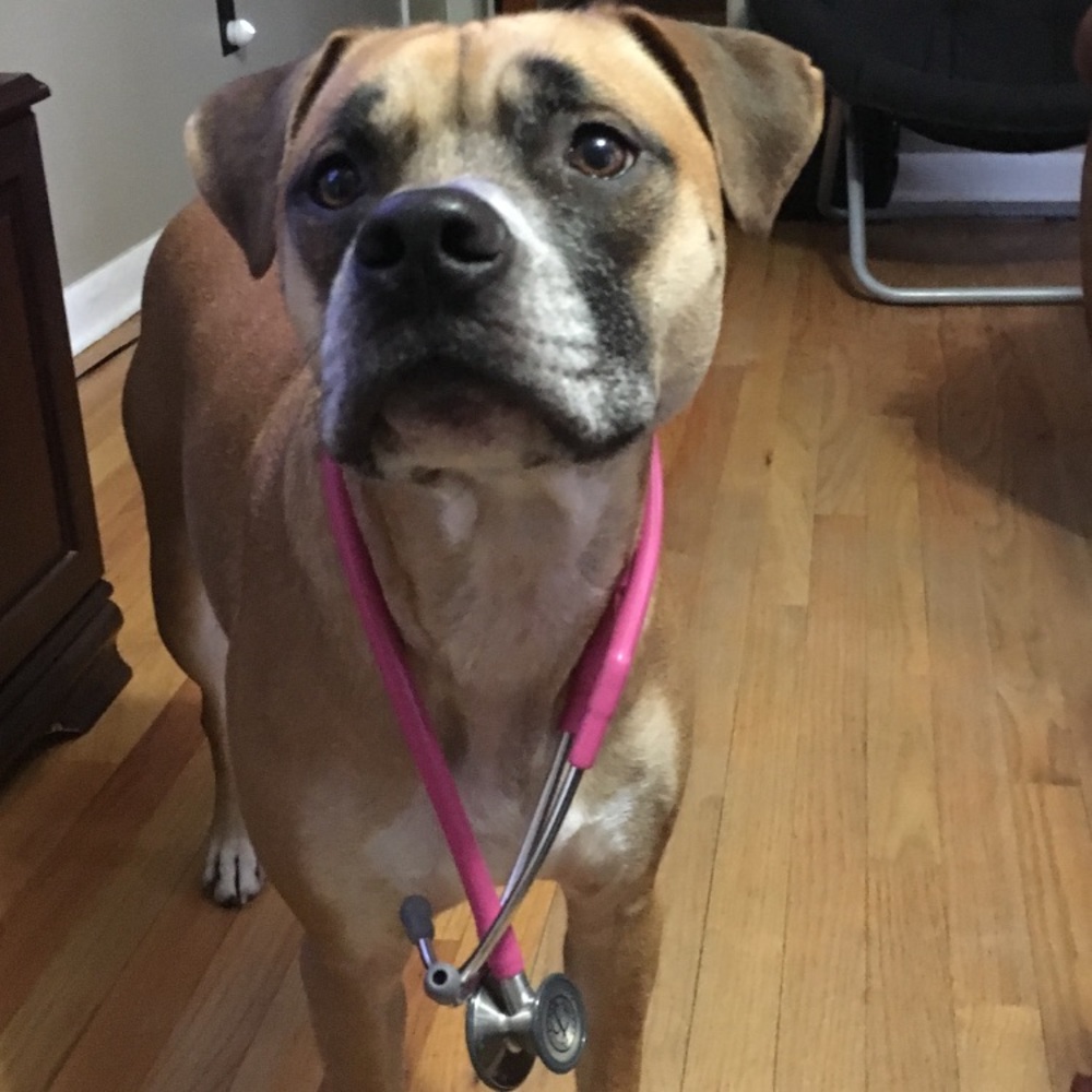 Meet your Posher, Haiti