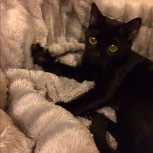 Meet your Posher, Amanda