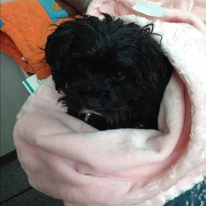 Meet your Posher, Idell