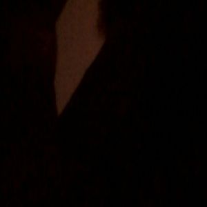 Meet your Posher, Delores