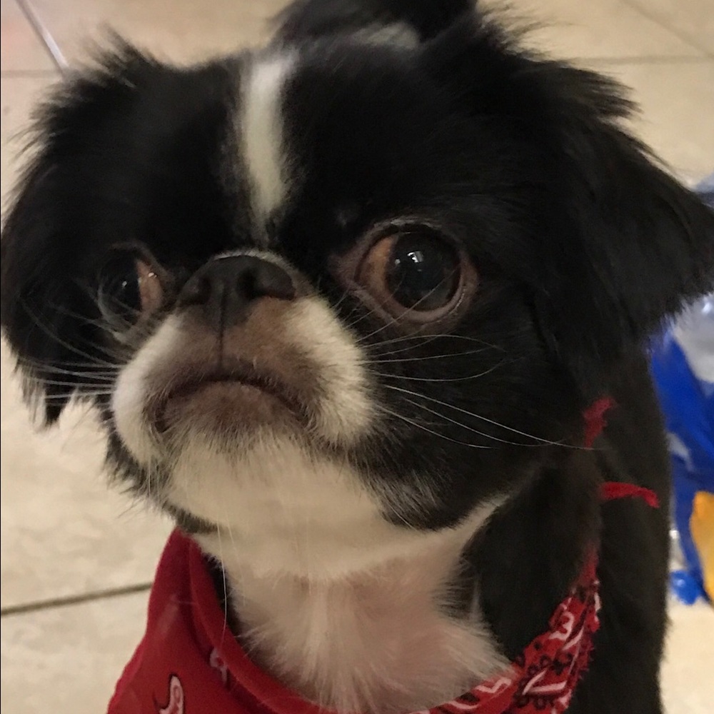 Meet your Posher, Juan