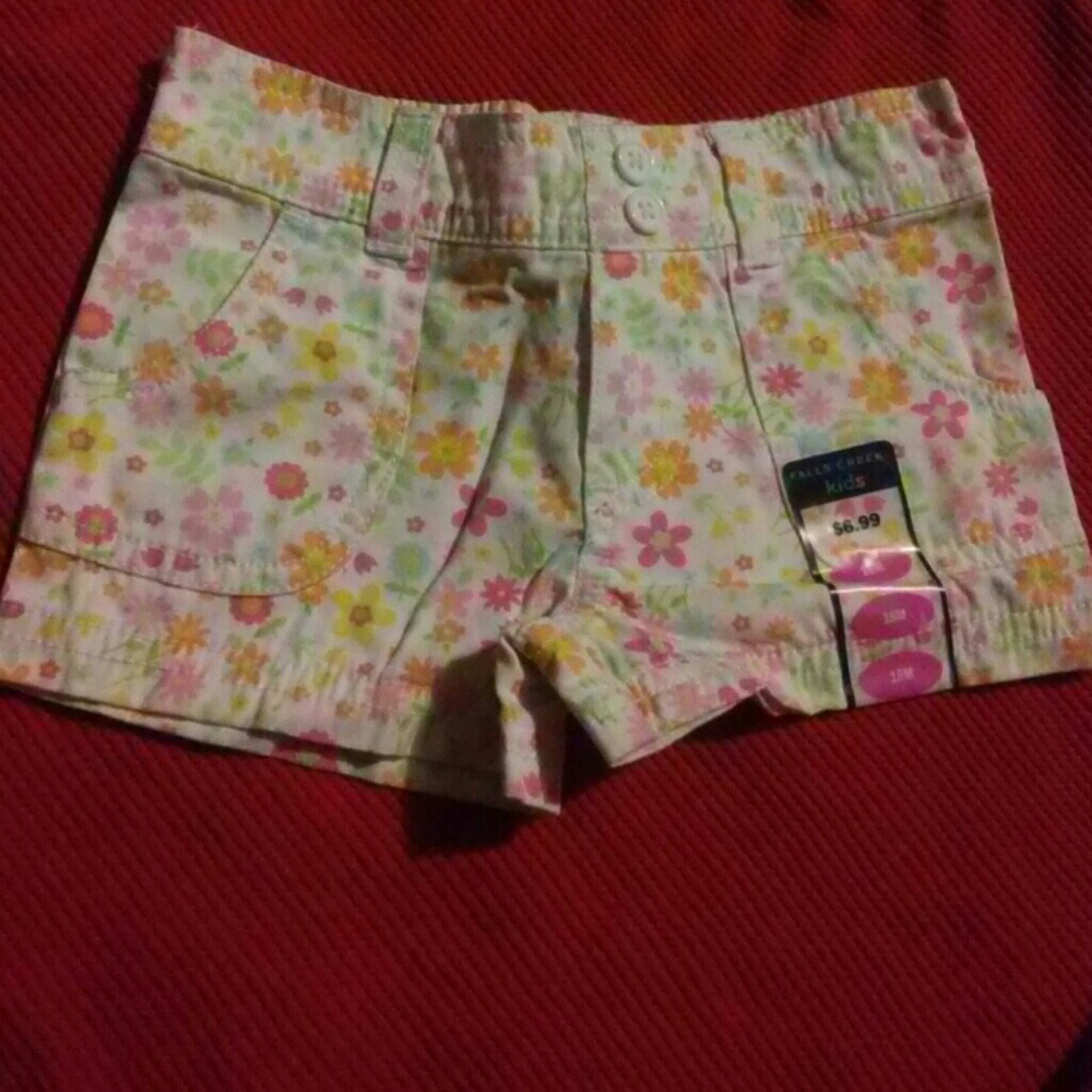 💘BOGO SALE! Floral Shorts, 18M, Falls Creek