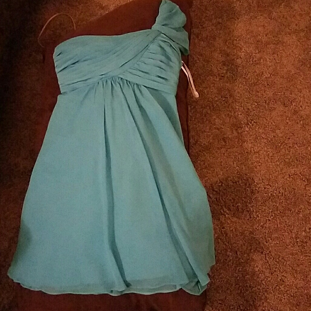 David's bridal brides maid dress