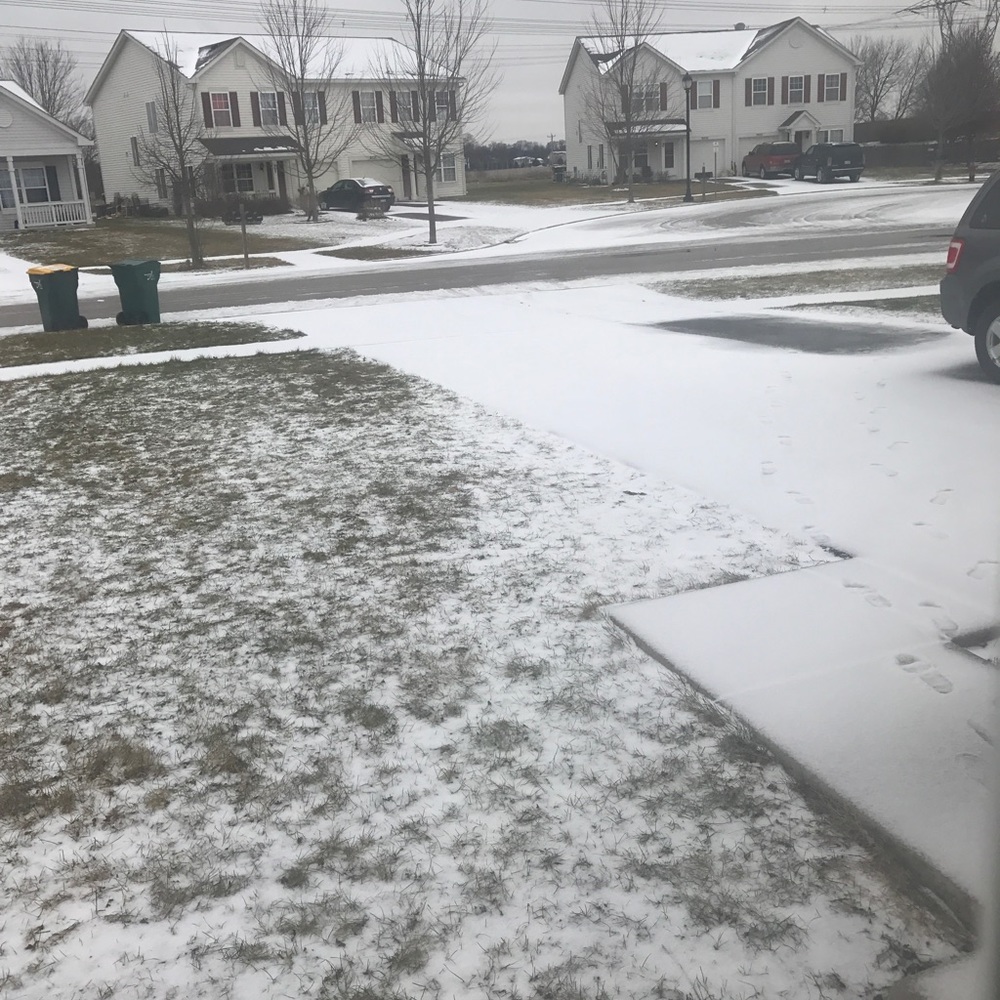 Meet your Posher, Tammie