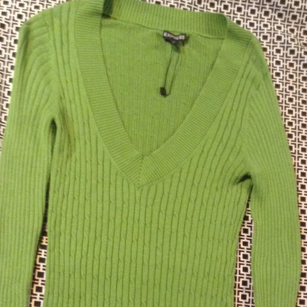 Express Knit V-neck Sweater in Green
