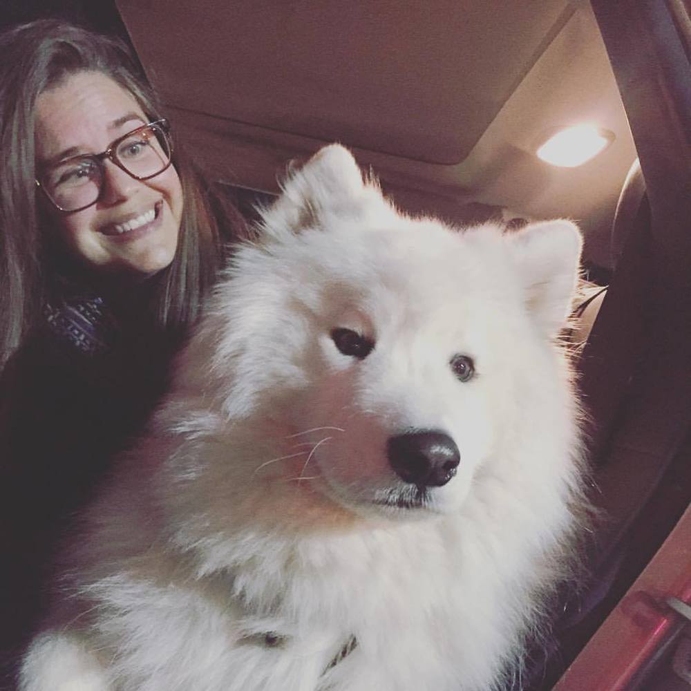 Meet your Posher, Alex