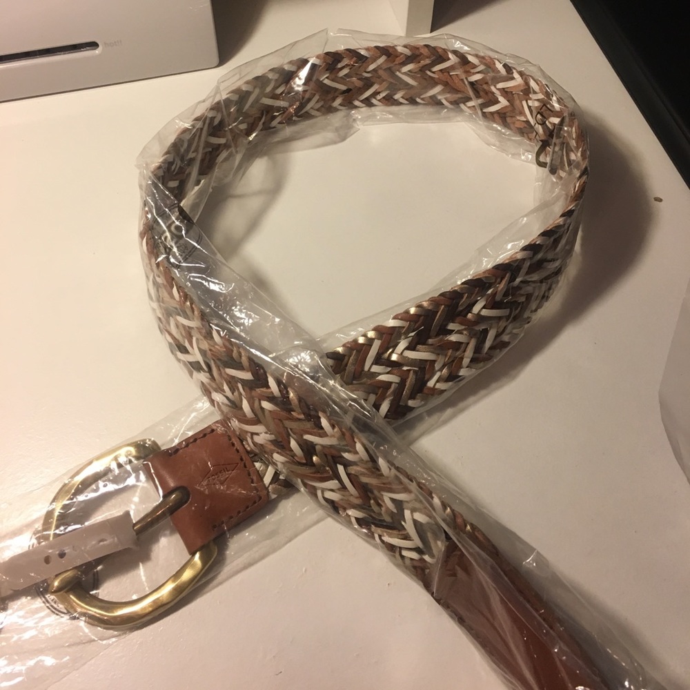 Fossil belt