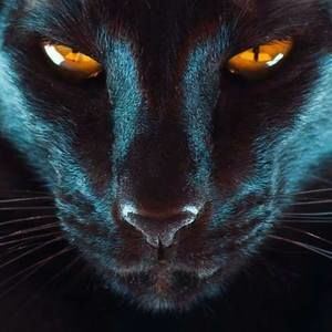 Meet your Posher, Bonnie