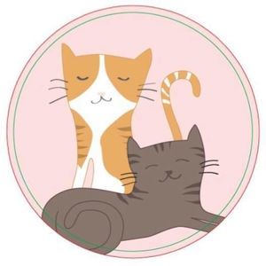 Meet your Posher, Anne