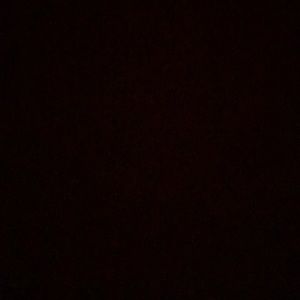 Meet your Posher, Nolan