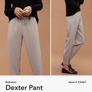 Aritzia dexter trouser