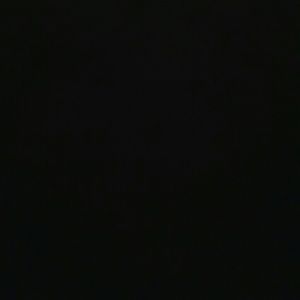 Meet your Posher, Shelley