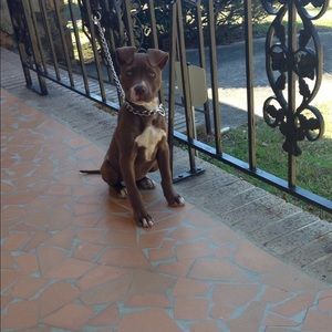 Meet your Posher, Adrian