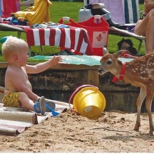 Meet your Posher, Blake