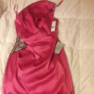 Brand new pink dress