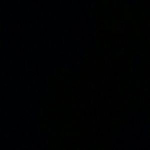 Meet your Posher, Bridget