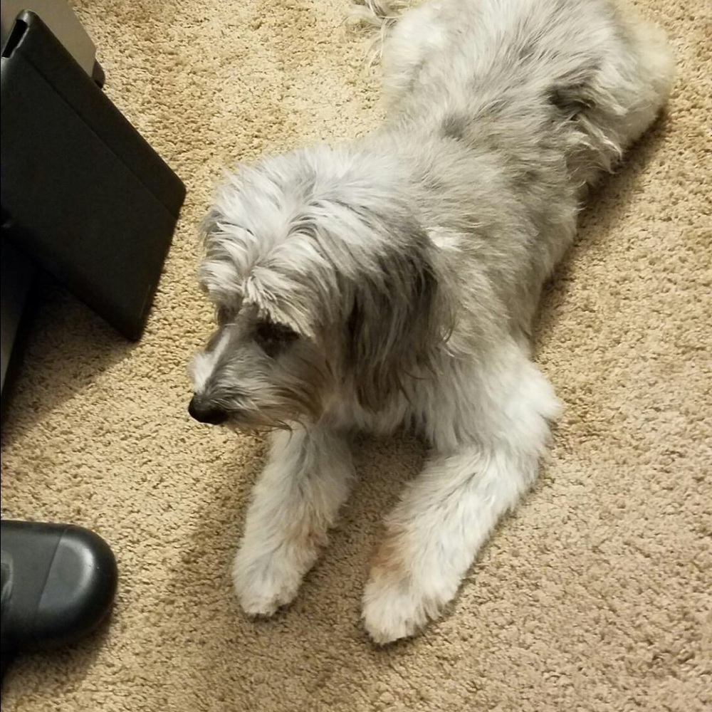 Meet your Posher, Kristi