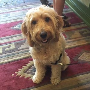 Meet your Posher, Denise