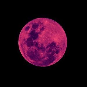 Meet your Posher, Collin