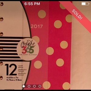 2017 The Happy Planner Mini