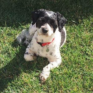 Meet your Posher, Laura