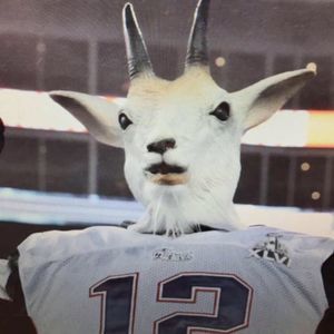 Meet your Posher, Joe