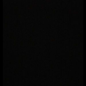 Meet your Posher, Sid