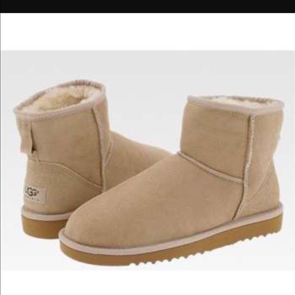 Uggs brand new