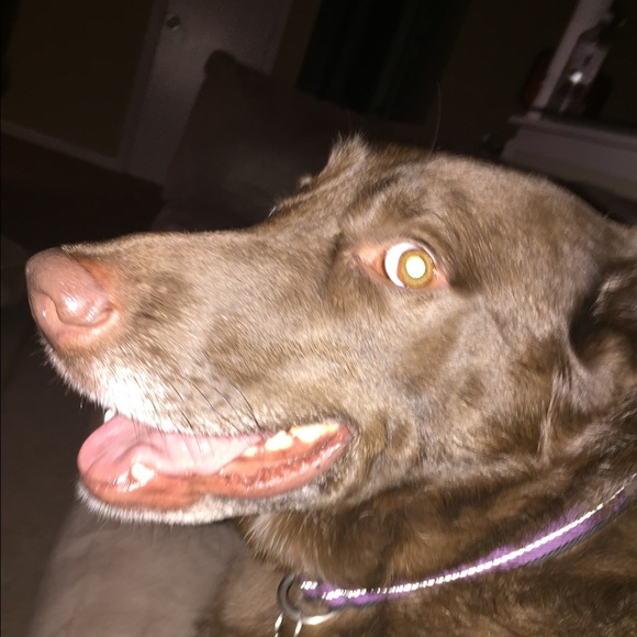 Meet your Posher, Matthew - Picture 1 of 1