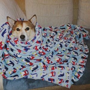 Lululemon orange top