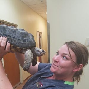 Meet your Posher, Amber