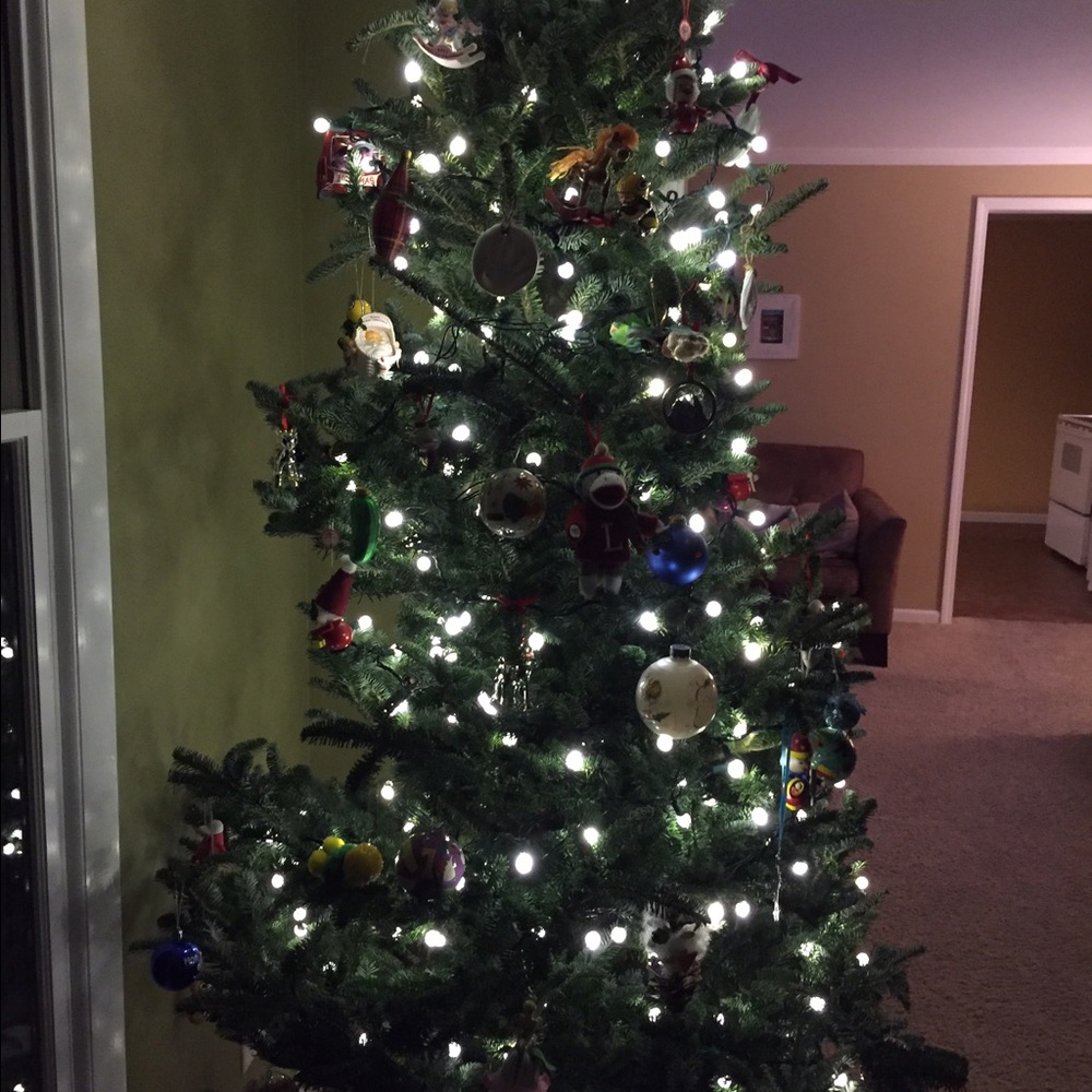 Meet your Posher, Bridget