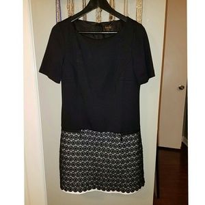 Laundry by Shelli Segal dress