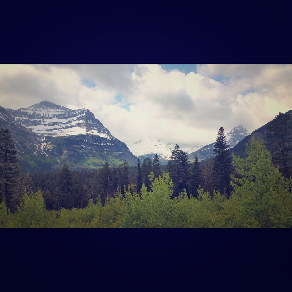 Meet your Posher, Brianna