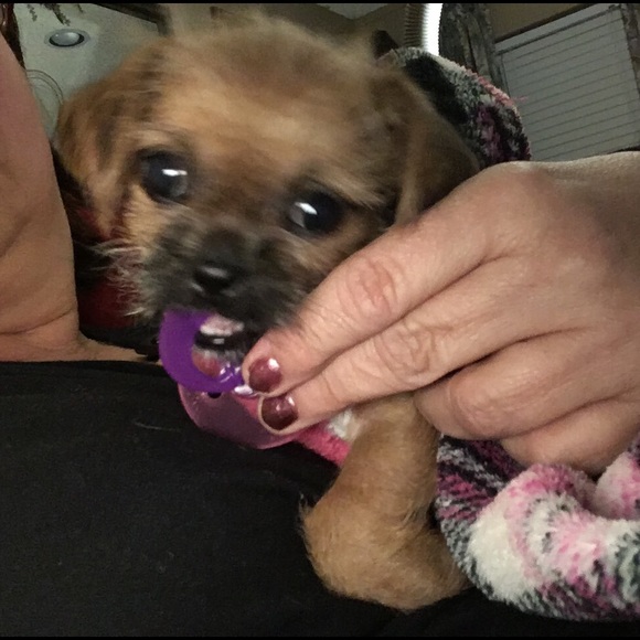 I'm a diva - Picture 2 of 4