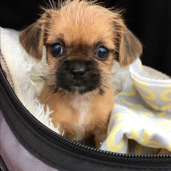 I'm a diva - Picture 4 of 4